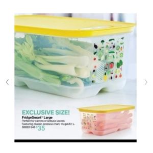 Tupperware Fridgesmart ® Large - Exclusive Size